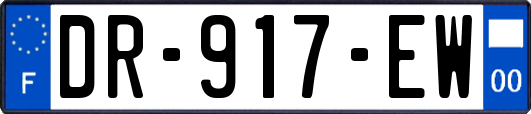 DR-917-EW