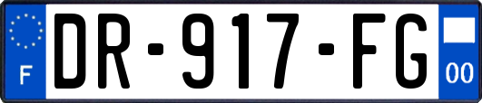 DR-917-FG