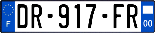 DR-917-FR