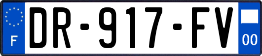 DR-917-FV