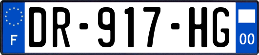 DR-917-HG