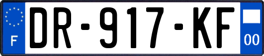 DR-917-KF