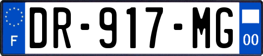 DR-917-MG