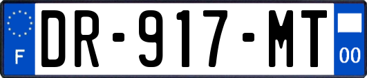 DR-917-MT