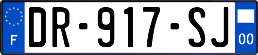 DR-917-SJ