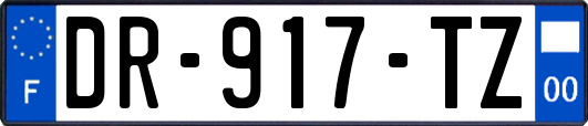 DR-917-TZ