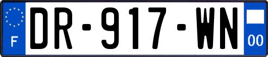 DR-917-WN