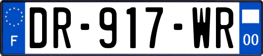 DR-917-WR