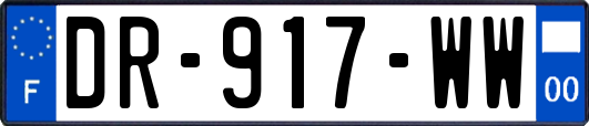 DR-917-WW