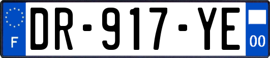 DR-917-YE