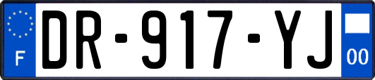 DR-917-YJ