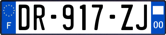 DR-917-ZJ