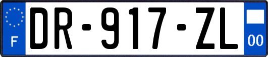 DR-917-ZL