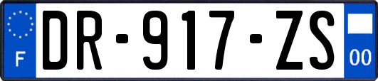 DR-917-ZS
