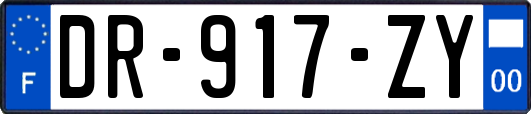 DR-917-ZY