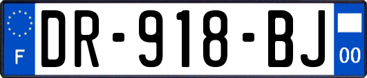 DR-918-BJ