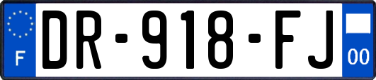 DR-918-FJ