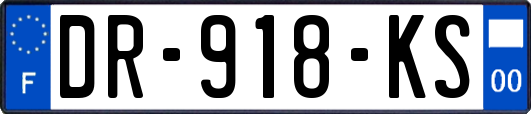 DR-918-KS
