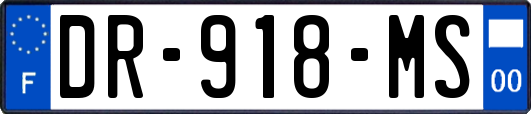 DR-918-MS