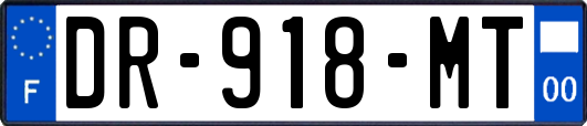 DR-918-MT