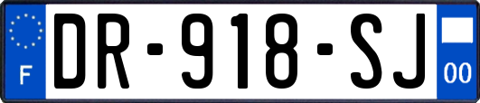 DR-918-SJ