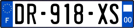 DR-918-XS