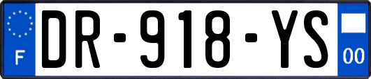 DR-918-YS