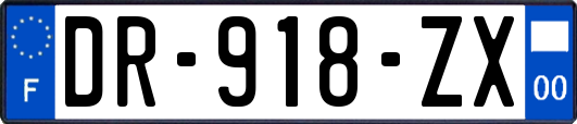 DR-918-ZX