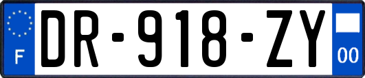 DR-918-ZY