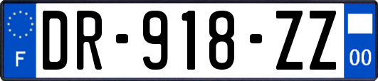 DR-918-ZZ