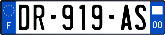 DR-919-AS