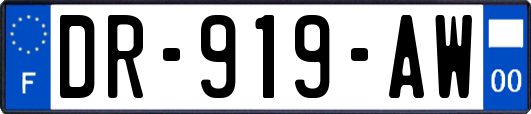 DR-919-AW