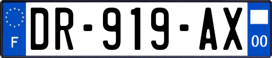 DR-919-AX
