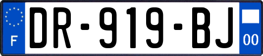 DR-919-BJ