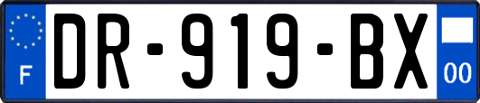 DR-919-BX