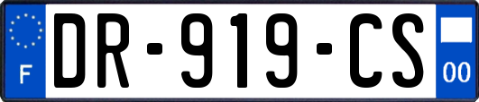 DR-919-CS