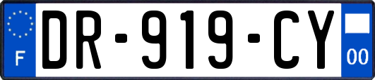 DR-919-CY