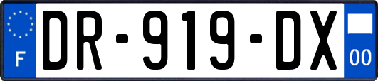 DR-919-DX