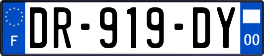 DR-919-DY
