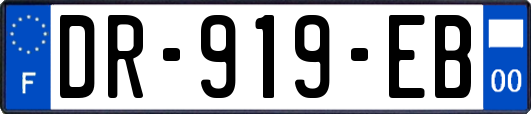 DR-919-EB