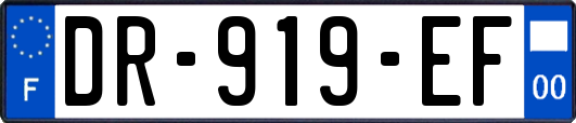 DR-919-EF