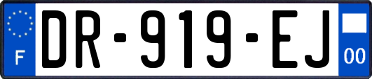 DR-919-EJ