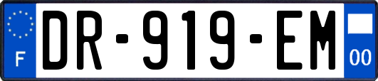 DR-919-EM