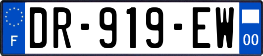 DR-919-EW