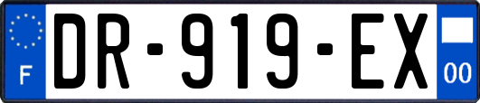 DR-919-EX
