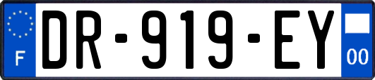 DR-919-EY