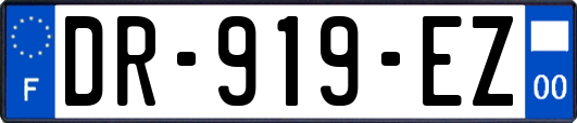 DR-919-EZ