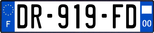 DR-919-FD
