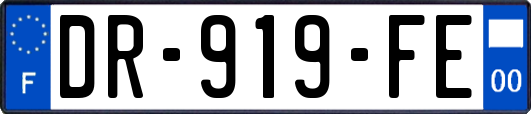 DR-919-FE