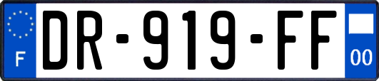DR-919-FF